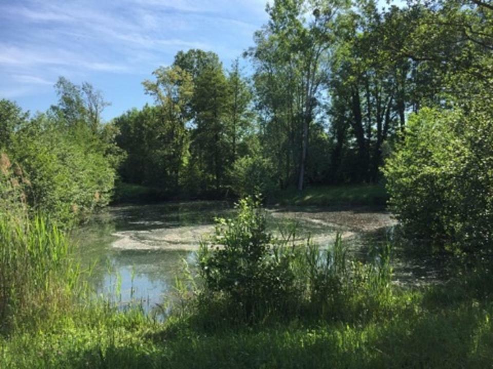 La Ferme De Coron Panzió Belley Kültér fotó